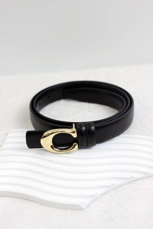 - Sleek Leather Belts with Gold-Tone Buckle