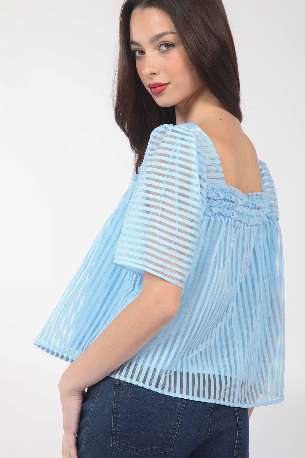 Puff Sleeve Organza Stripe Sheer Blouse Top