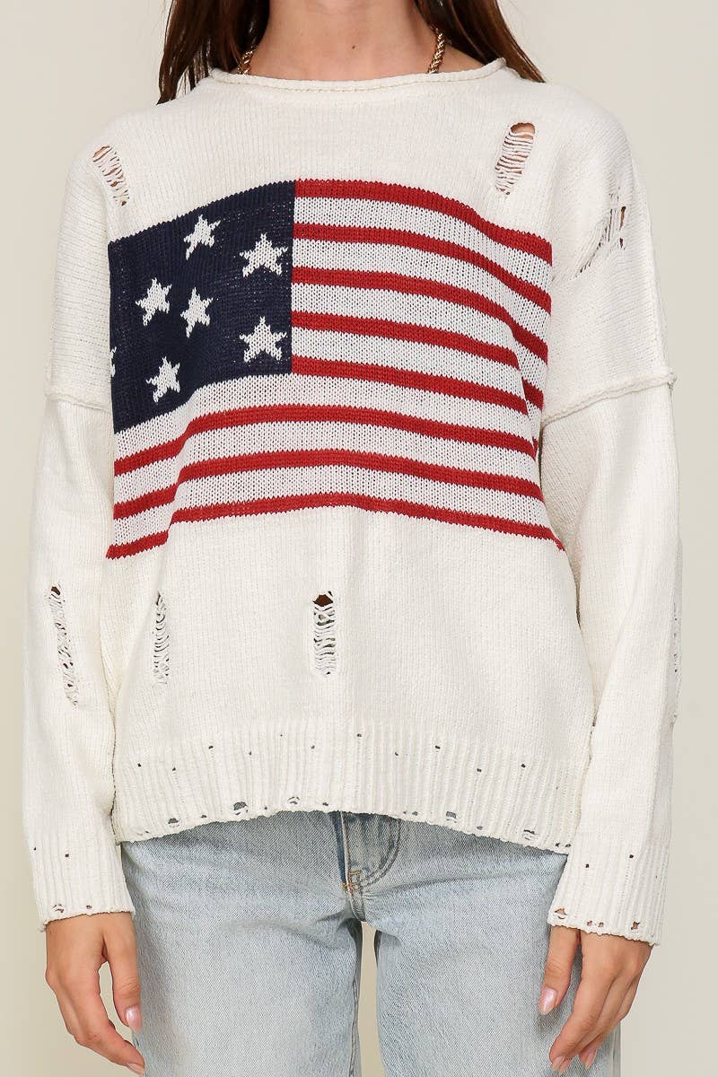 Distressed USA Americana Sweater 2