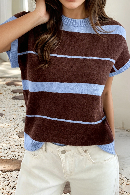 Stripe Contrast Colorblock Sweater Vest
