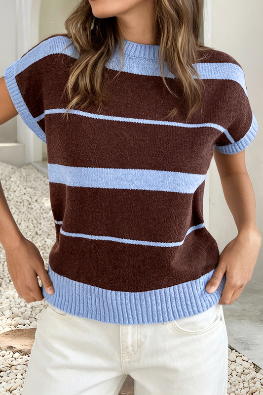 Stripe Contrast Colorblock Sweater Vest