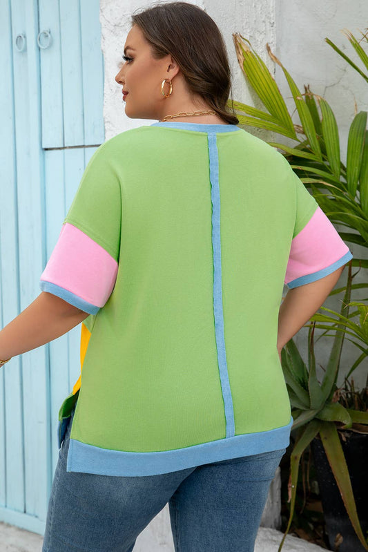 Plus Size Colorblock Reverse Seam T-Shirt