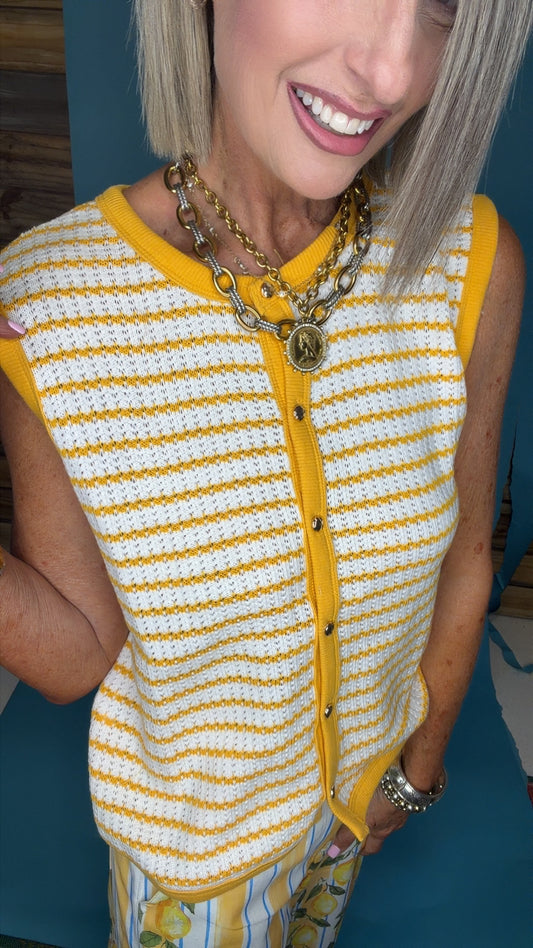 Stripe Knit Button Down Top