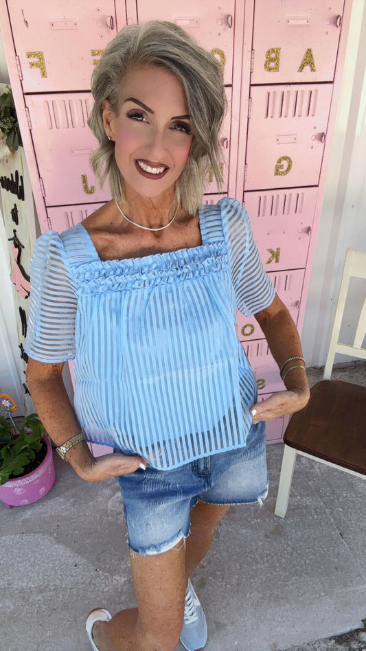 Puff Sleeve Organza Stripe Sheer Blouse Top